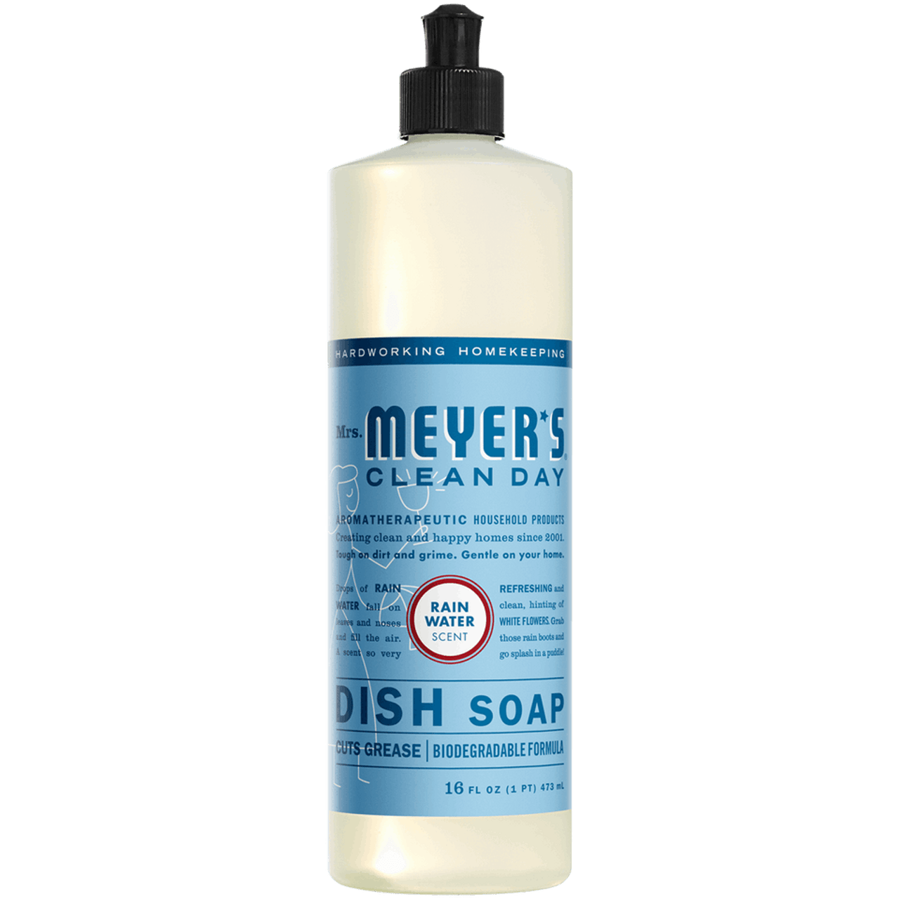 Rain Water Dish Soap