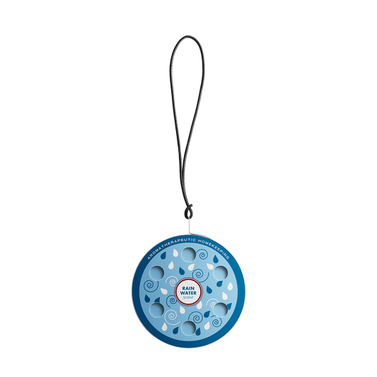 Rain Water Scented Car Diffuser